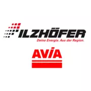 ILZHÖFER Inh. Walch GmbH & Co. KG logo